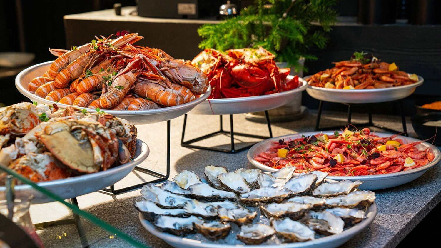 Skaldjursbord med ostron, kräftor, krabbor, hummer och räkor