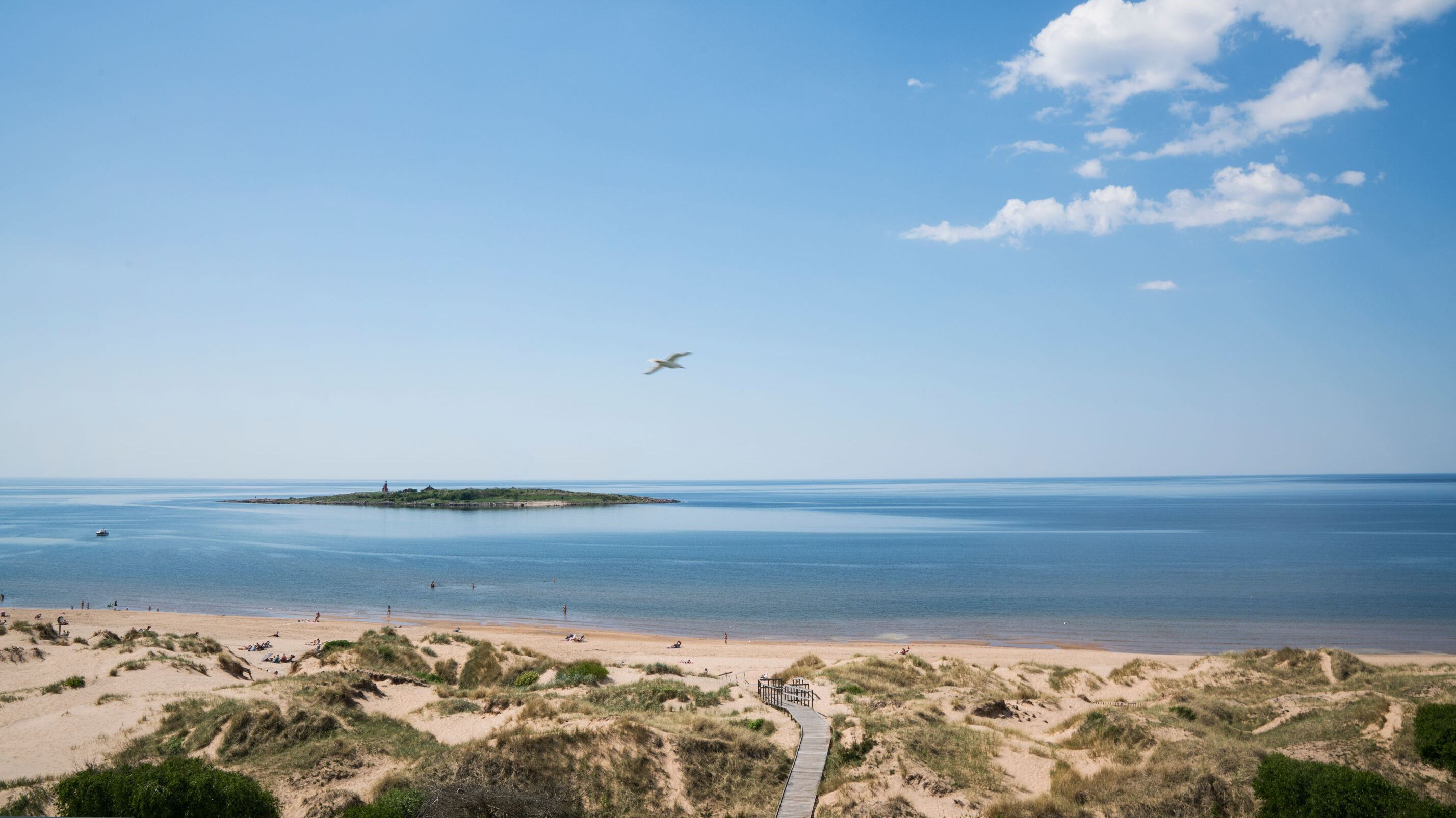 En bild som blickar ut över Tylösand strand och havet